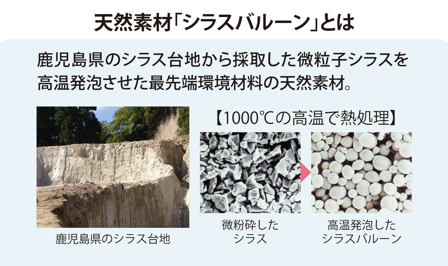 �����������C���