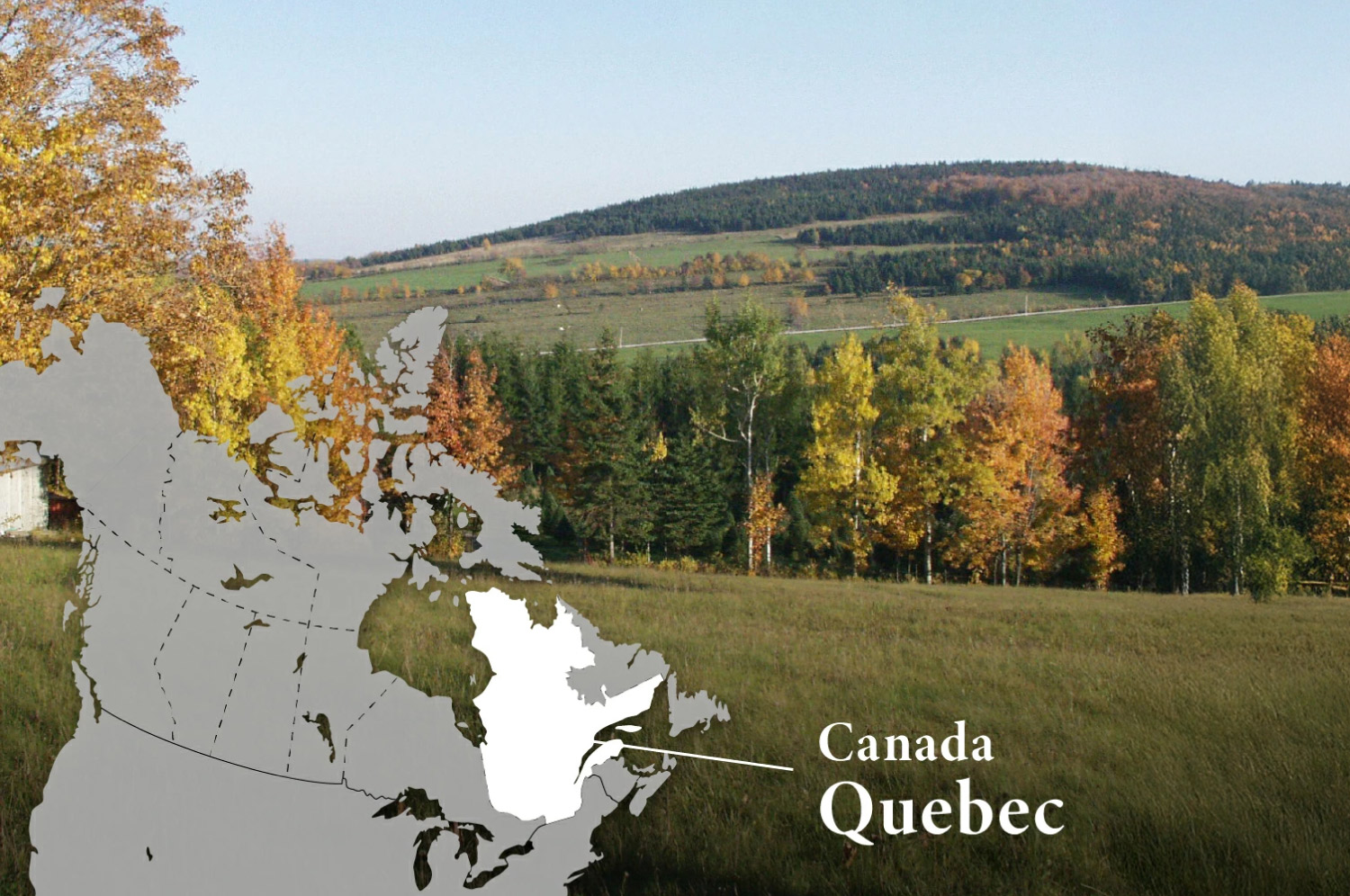 ���[�v���V���b�v