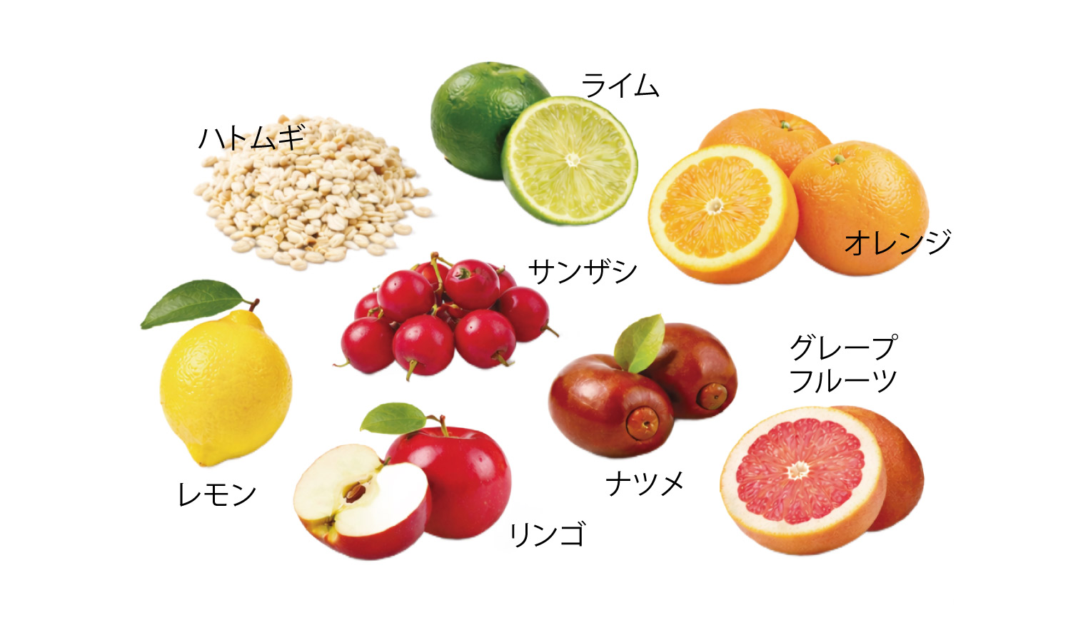 ���[�Y�s�[���Z����