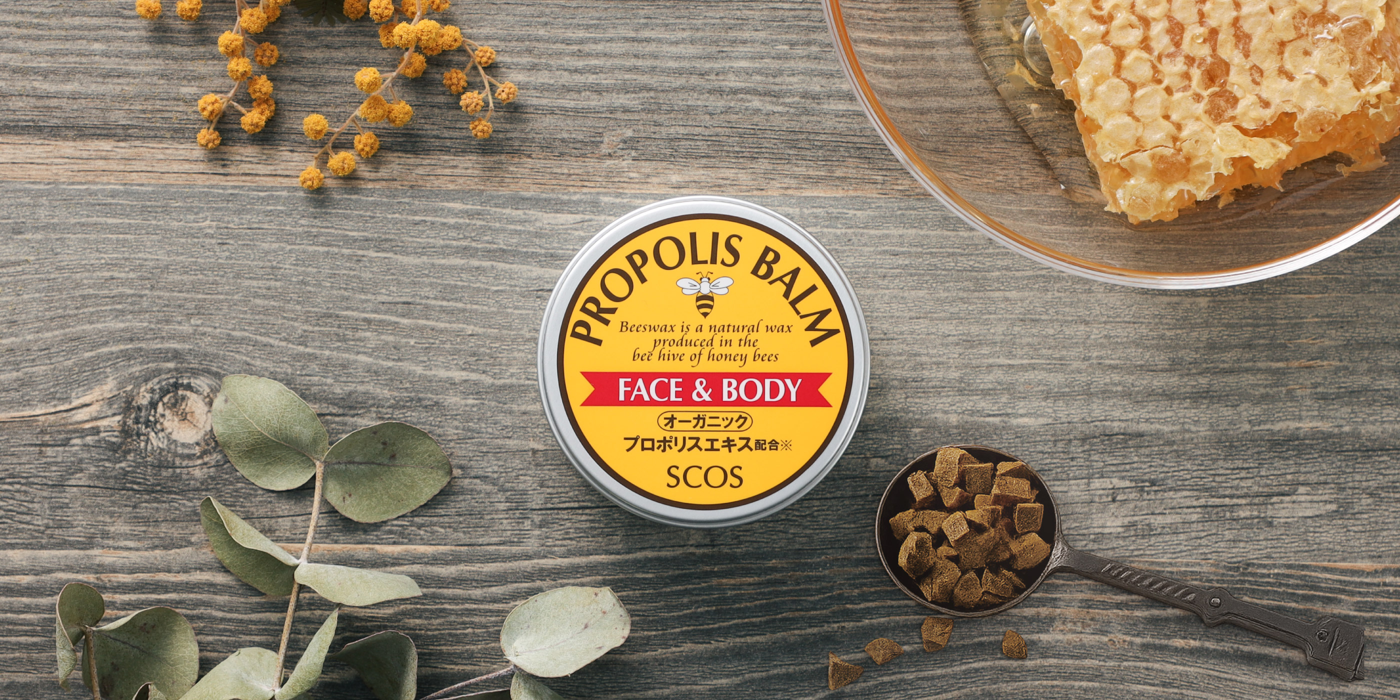 プロポリスバーム