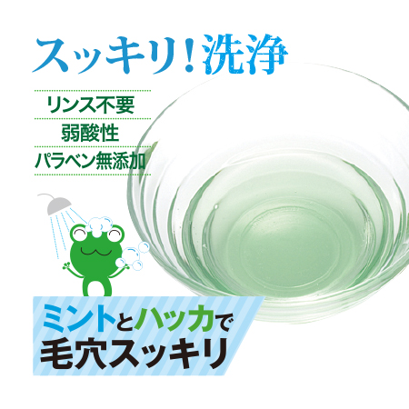 シトラスミンティ 700mL（詰替用） |エスコス