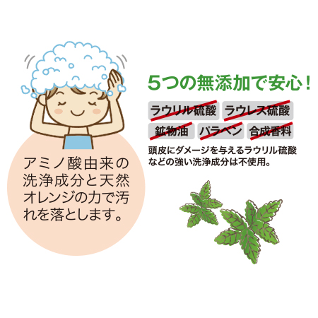 シトラスミンティ 485mL（詰替用） |エスコス