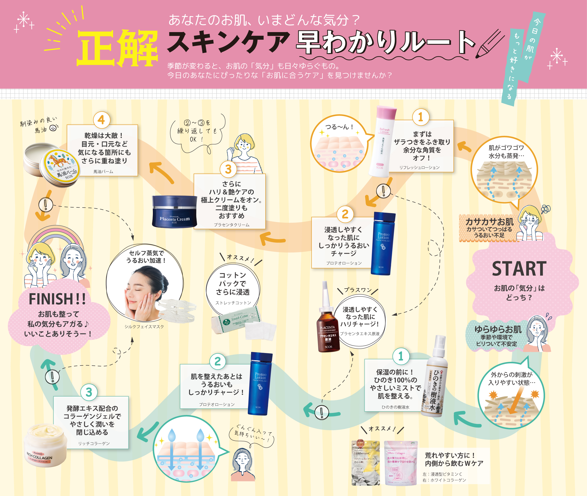 スキンケア早わかりルート